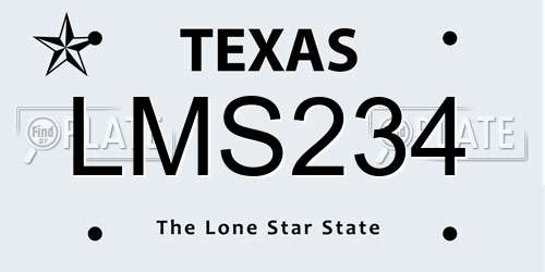 LMS234 Texas License Plate