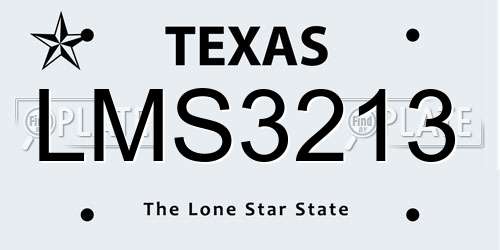 LMS3213 Texas License Plate