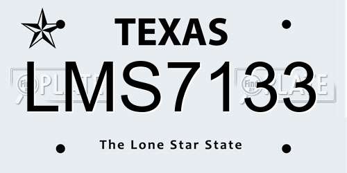 LMS7133 Texas License Plate