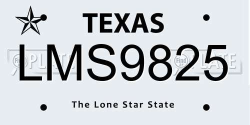 LMS9825 Texas License Plate