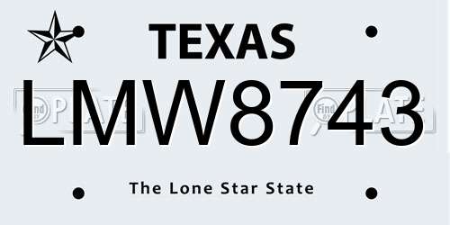 LMW8743 Texas License Plate
