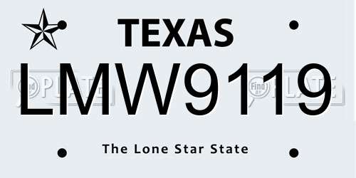 LMW9119 Texas License Plate