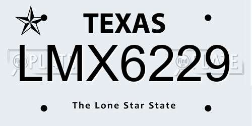 LMX6229 Texas License Plate