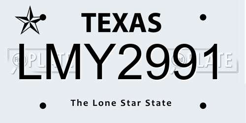 LMY2991 Texas License Plate