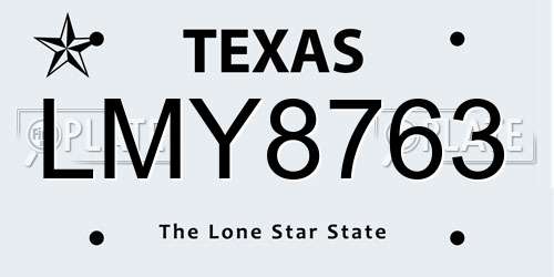 LMY8763 Texas License Plate