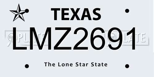 LMZ2691 Texas License Plate