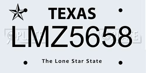 LMZ5658 Texas License Plate