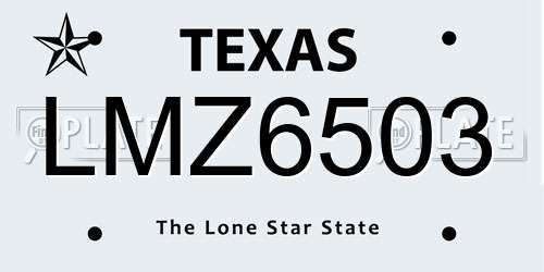 LMZ6503 Texas License Plate