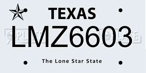 LMZ6603 Texas License Plate