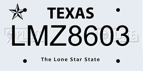 LMZ8603 Texas License Plate
