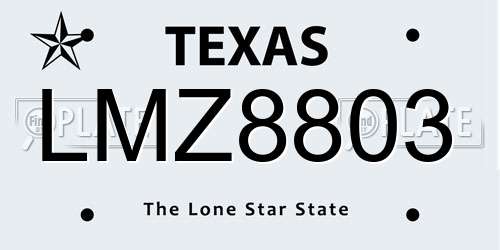 LMZ8803 Texas License Plate
