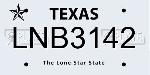 LNB3142 Texas License Plate
