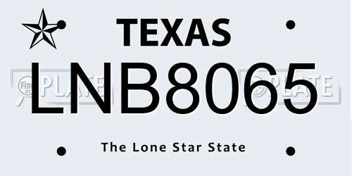 LNB8065 Texas License Plate