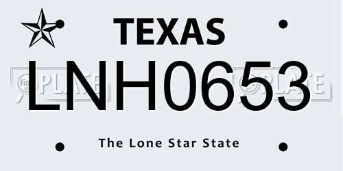 LNH0653 Texas License Plate