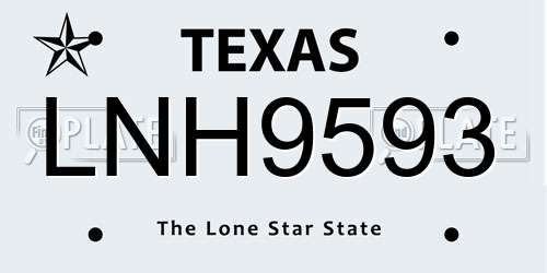 LNH9593 Texas License Plate