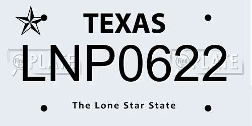 LNP0622 Texas License Plate
