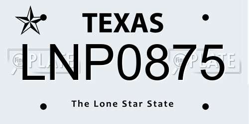 LNP0875 Texas License Plate