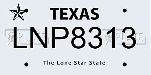 LNP8313 Texas License Plate