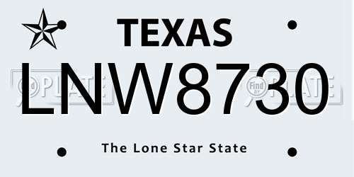LNW8730 Texas License Plate