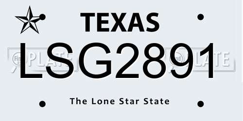 LSG2891 Texas License Plate