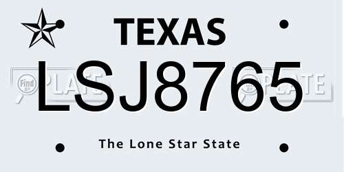 LSJ8765 Texas License Plate