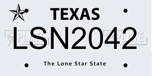 LSN2042 Texas License Plate