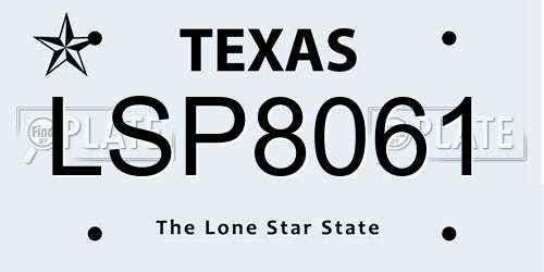 LSP8061 Texas License Plate