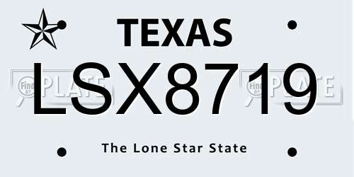 LSX8719 Texas License Plate