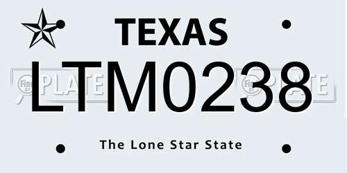 LTM0238 Texas License Plate
