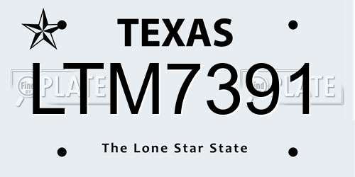 LTM7391 Texas License Plate
