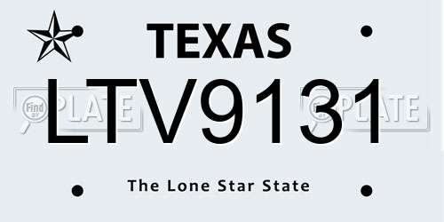 LTV9131 Texas License Plate