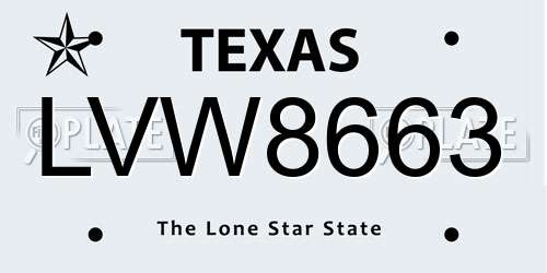 LVW8663 Texas License Plate