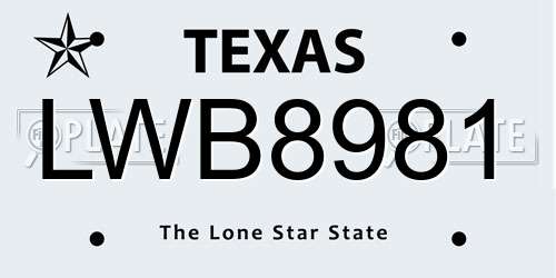 LWB8981 Texas License Plate