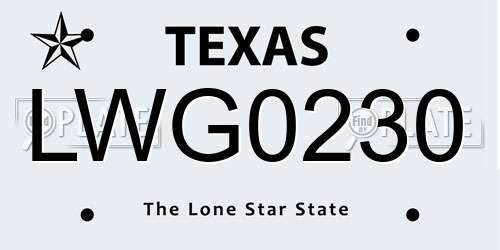 LWG0230 Texas License Plate