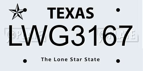LWG3167 Texas License Plate