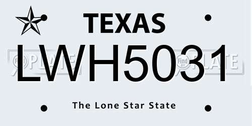 LWH5031 Texas License Plate