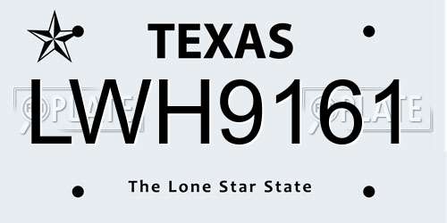 LWH9161 Texas License Plate