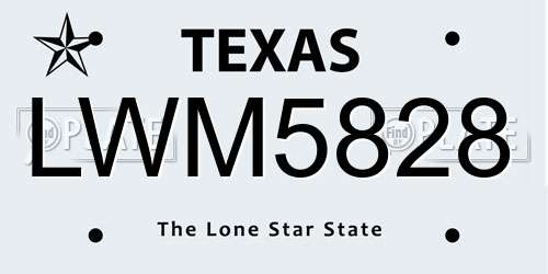 LWM5828 Texas License Plate