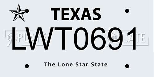 LWT0691 Texas License Plate