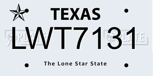LWT7131 Texas License Plate