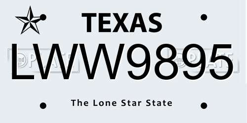 LWW9895 Texas License Plate