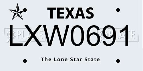 LXW0691 Texas License Plate