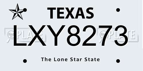 LXY8273 Texas License Plate