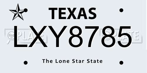 LXY8785 Texas License Plate
