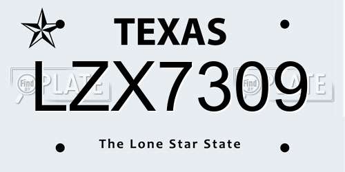 LZX7309 Texas License Plate