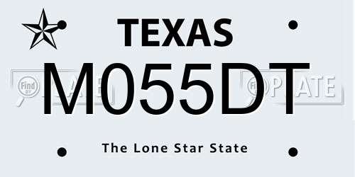 M055DT Texas License Plate