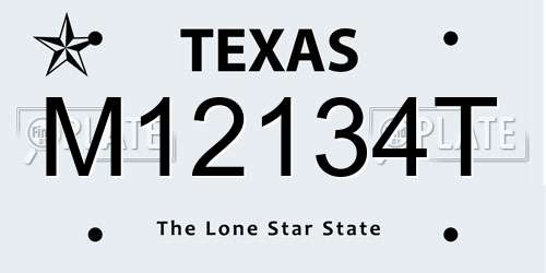 M12134T Texas License Plate