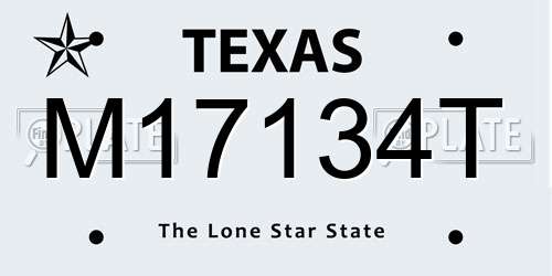 M17134T Texas License Plate
