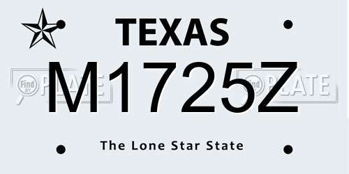 M1725Z Texas License Plate