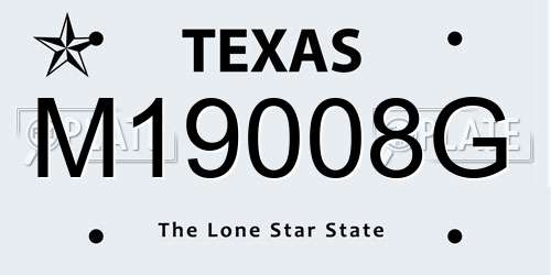 M19008G Texas License Plate